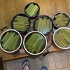 健康な体を作るには　曇り