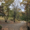 都筑の森　雨あがりの小道　ささぶねの道から大原みねみち公園