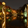 🍁肥後細川庭園　秋の紅葉ライトアップ　ーひごあかりー