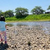 米本家の休日☀️