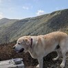 『南月山』再び那須へ