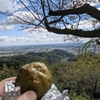 【山初心者】登山トレーニング　埼玉県「天覧山」「日和田山」「鐘撞堂山」	