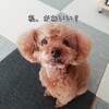 寝室を模様替え♪