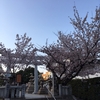 続けることが最も大事