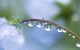 雨と花と散歩