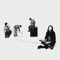 OGRE YOU ASSHOLE 動物的/人間的 レコード Ogre You Asshole – 動物的 / 人間的 – Vinyl (12