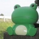 ぶりとだいこん