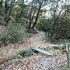 久しぶりの平和公園