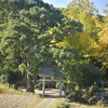 大国主神社周辺散策　福岡県遠賀郡岡垣町