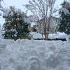 道産子の血がさわぐっ　群馬での大雪