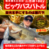 5/23(土)営業します！1デイビッグバスバトル初開催👑夜ワカあります
