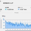 【夕立ラン】この３日間のラン