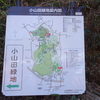 都立小山田緑地、散策　　パワースポット（９６１）白山神社