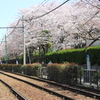 都電荒川線を撮影