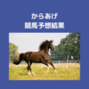 【競馬予想結果】マイルチャンピオンシップ　グランアレグリア🐎