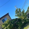 近畿地方も梅雨明けしたようです。