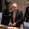 安全保障理事会、イスラエルの非難を受け国連事務総長を支持