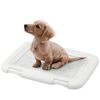 犬のトイレ失敗、もう諦めない！アイリスオーヤマの「フチもれしにくいトレーニングペットトレー」が我が家の救世主になった話