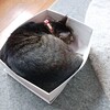 倉庫のテニスコート