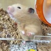 みそあん324日目
