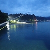 根魚3匹