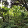 せせらぎ公園