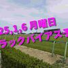 2025,1,6 月曜日 トラックバイアス予想 (中山競馬場　中京競馬場)