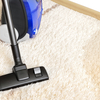 All About Carpet Cleanings in Oceanside