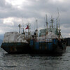 中国の漁船が数隻停泊している。