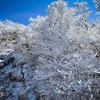 【残雪期】上州武尊山登山