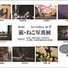 猫・ねこ写真展