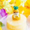 そろそろ届くかな？ディズニー懸賞の結果！！