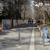 お彼岸は……