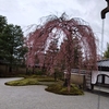 京都２日目は高台寺と毘沙門堂そして自由行動