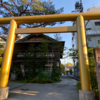 高知名物のよさこい祭りの発祥とされる神社【よさこい稲荷神社】に潜入してみた⛩️