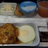 NRT―HNLハワイアン航空1回目の機内食【2018ハワイ】