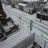 雪は降らずに