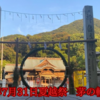 戸上神社の夏越祭に参列！茅の輪くぐりと神事の様子を動画で紹介【2025年・北九州】