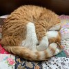 蒸し暑くてぼーっと過ごした１日