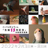 インコのおとちゃん15年記念展