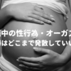【妊娠中の性欲問題】性行為・オーガズムは流産・早産も？妊婦はどこまで発散していい？