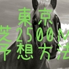 東京2500ｍの予想方法