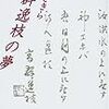 丹野さきら『高群逸枝の夢』