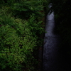 雨の界隈