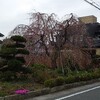 雨の合間に…