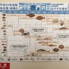 みやぎの　お魚