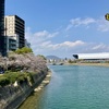 春、ミニ事件簿