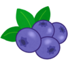 ブルーベリーのフリーイラスト素材