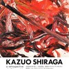 東京オペラシティアートギャラリーの白髪一雄展を見る