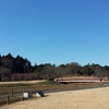2015/12/28 偕楽園